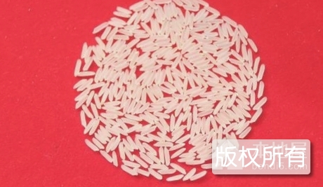 丰优香占优质稻