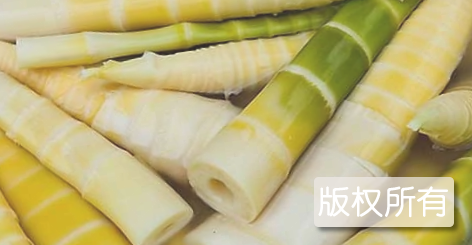 龙门溪笋