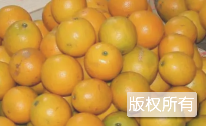 云阳红橙