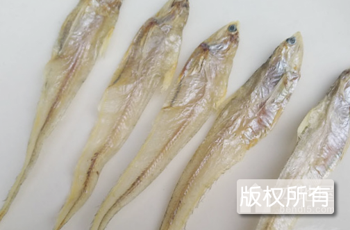 鱼毛