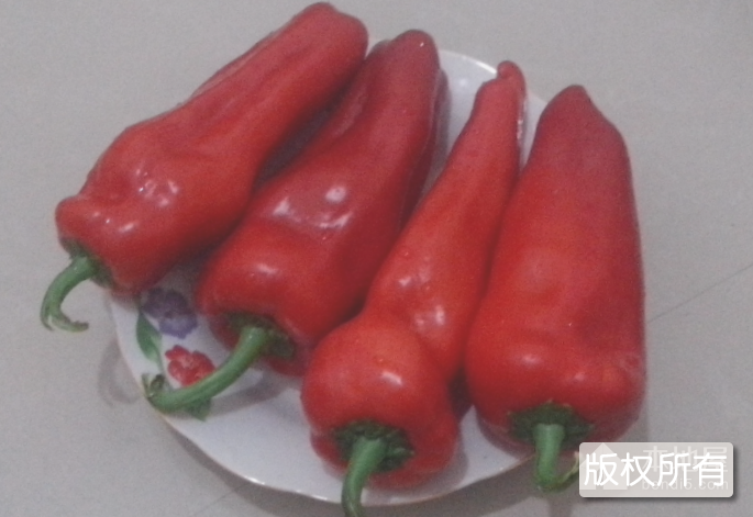 善厚乡红辣椒