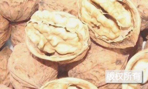 绥中核桃