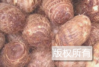 常绿牌红香芋