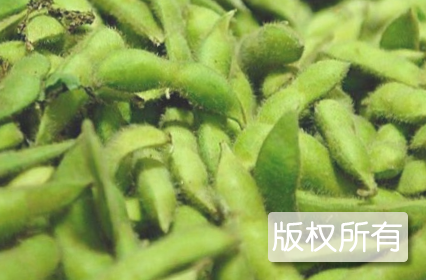 怀远大青豆