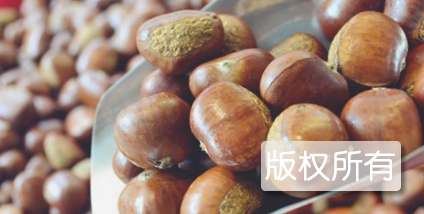 陶李板栗