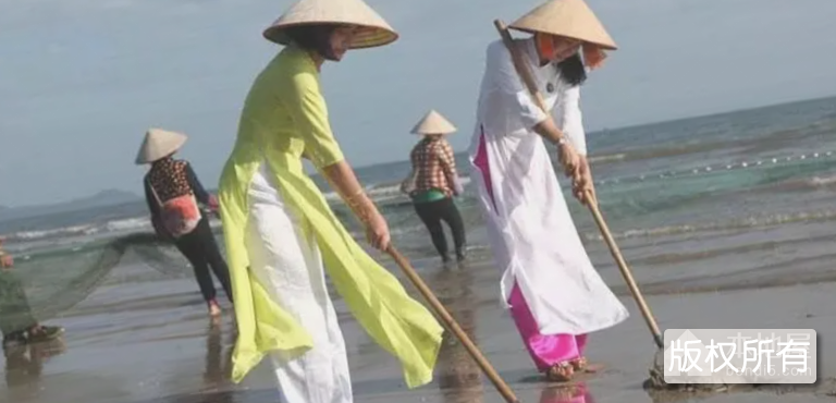 京族掷木叶