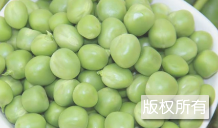 龙坪豌豆
