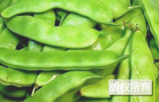 梅里斯油豆角