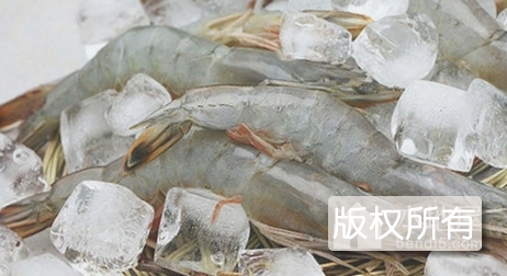 汉沽东方对虾