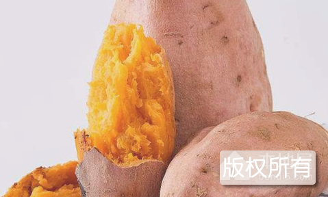 红安苕