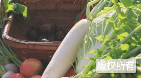 阜南萝卜