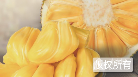 阳东菠萝蜜