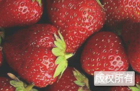 句容草莓