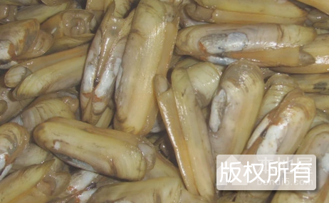 辣味酱爆蛏子