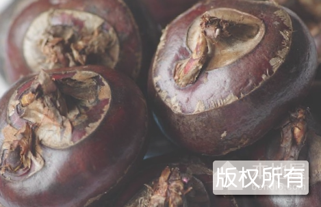 张家岗荸荠