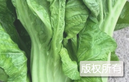 包包青菜