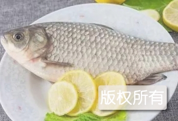 辽中鲫鱼
