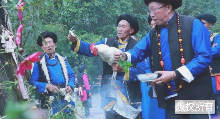 还山鸡节