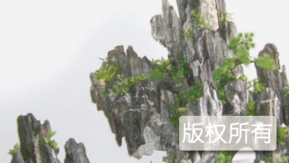 英石假山盆景传统工艺