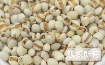 城步苡米