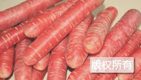 红胡萝卜