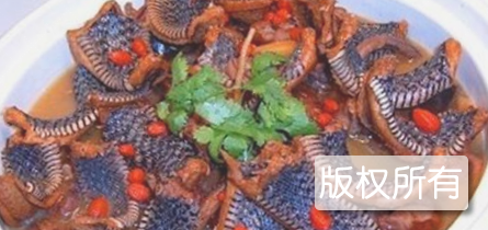 龙虎凤烩