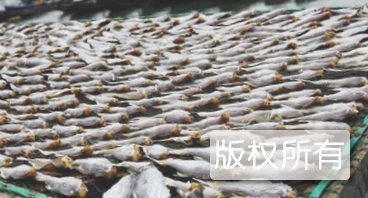 千岛湖鱼干