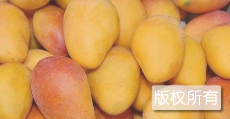 白沙芒果