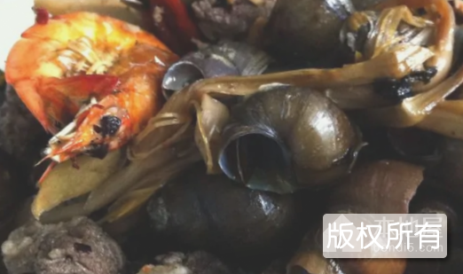 酸笋田螺煲