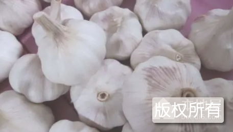 金乡大蒜