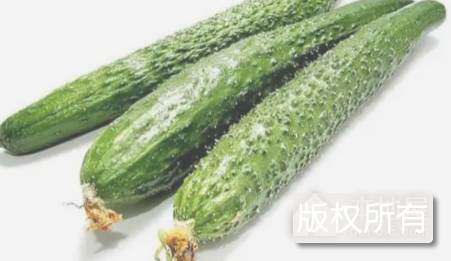 淮阴黄瓜