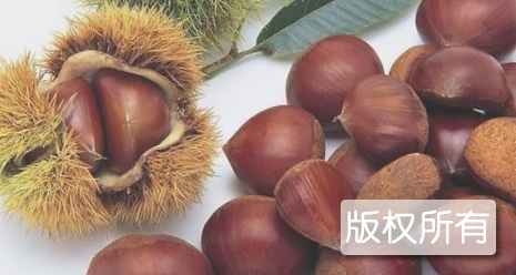 北道板栗