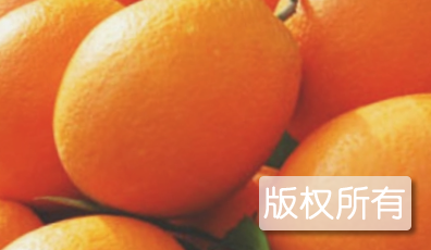 南溪锦橙