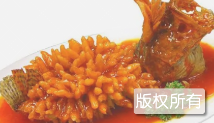 松鼠桂鱼