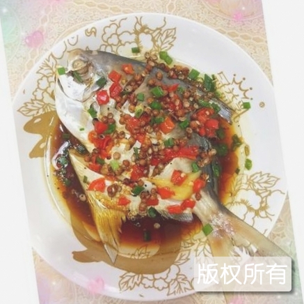 北海文昌鱼