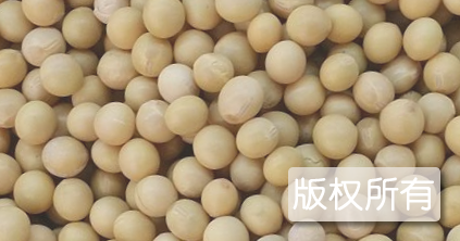 祁老大豆制产品