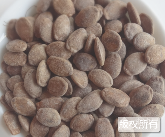 皖山野葫芦籽
