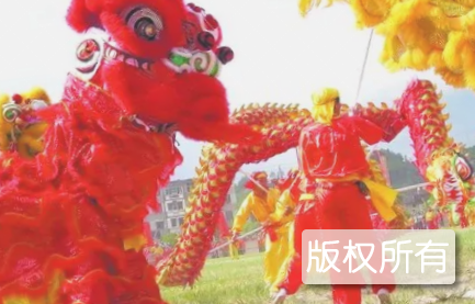 上犹九狮拜象