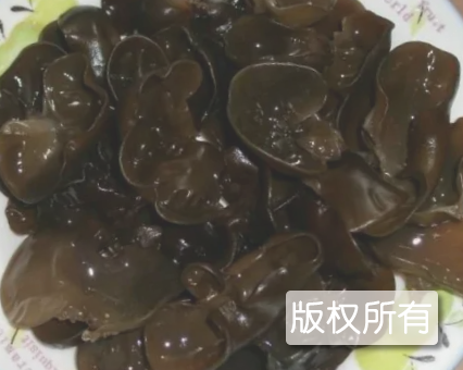 呼玛黑木耳