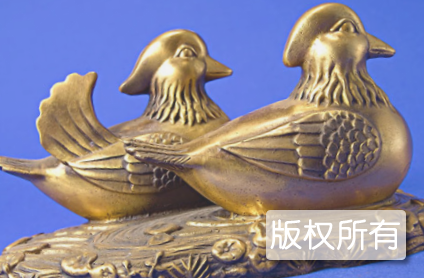 鸳鸯嫁老雕