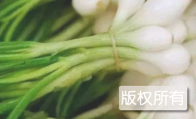 双江荞头
