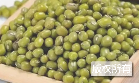 宣化鹦哥绿豆