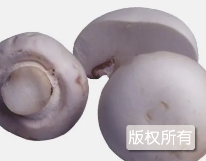 辽源蘑菇