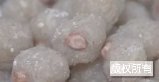 碣石菜头丸