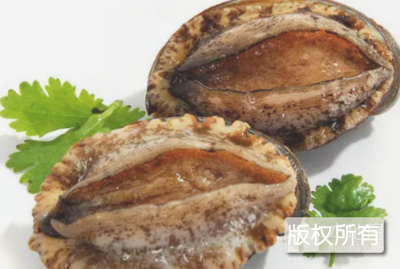 长海鲍鱼