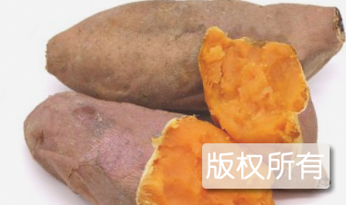 后陇红番薯
