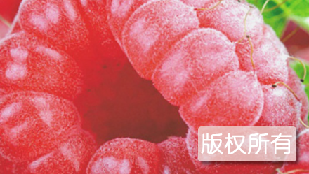青堆树梅制品
