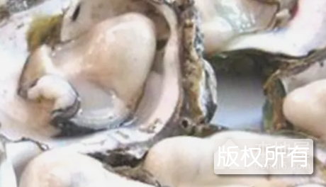 北海牡蛎