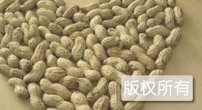 汉阳花生