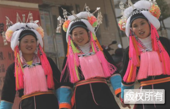 凌云蓝靛瑶婚礼
